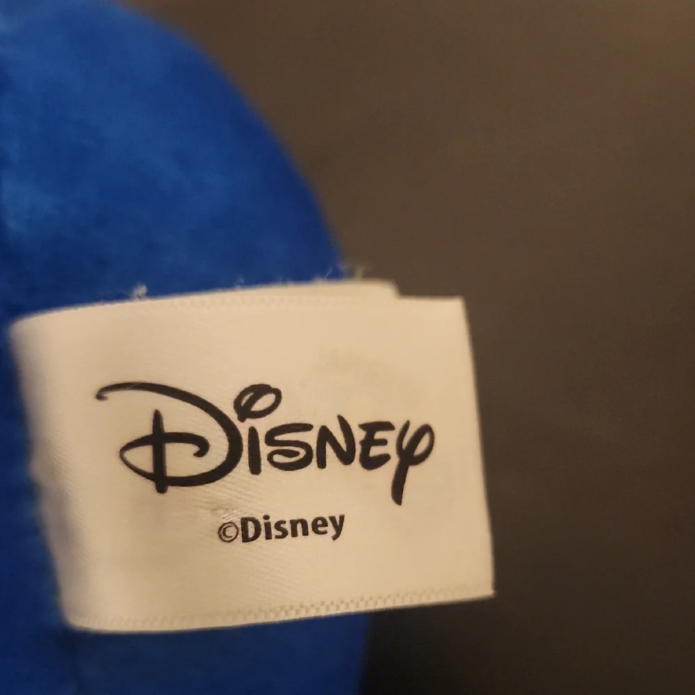 Disney Anna Frozen  Blue Plush Toy